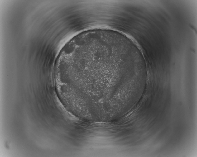 X0000102351295200808221645