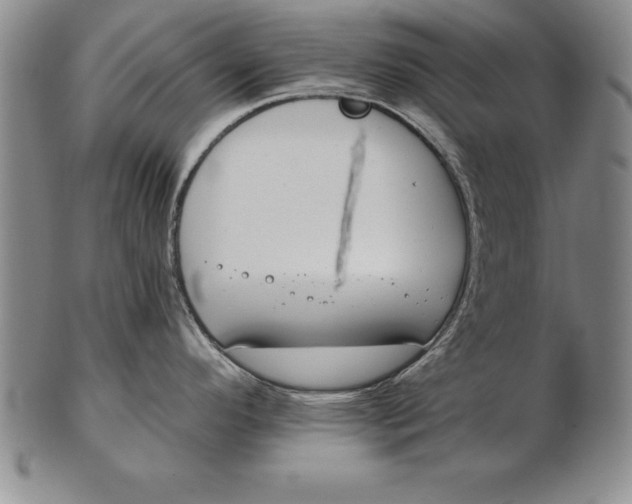 X0000102351296200808221645