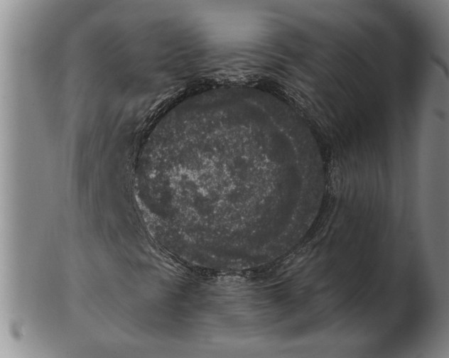 X0000102351297200808221644