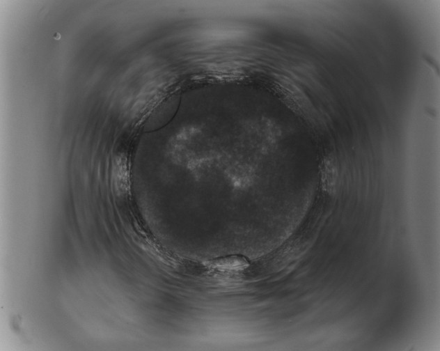 X0000102351298200808221644