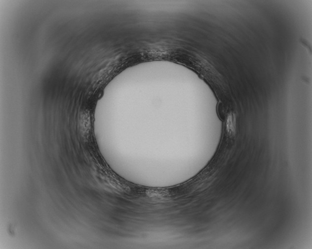 X0000102351299200808221644