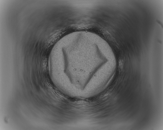 X0000102351300200808221644