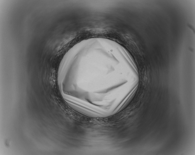 X0000102351301200808221644