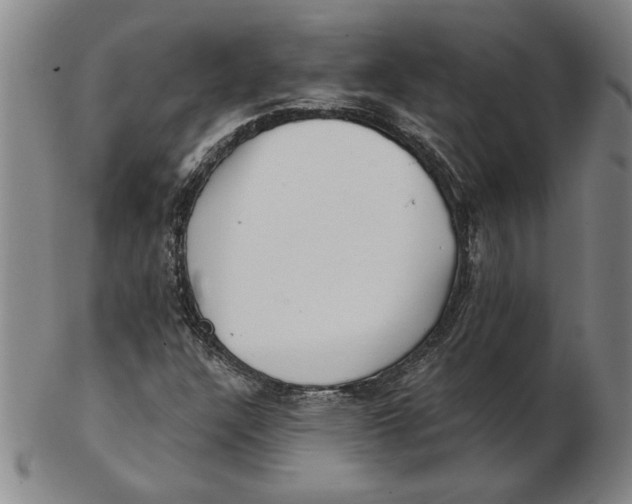 X0000102351304200808221644