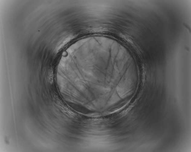 X0000102351306200808221644