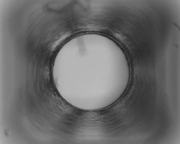 X0000102351307200808221644