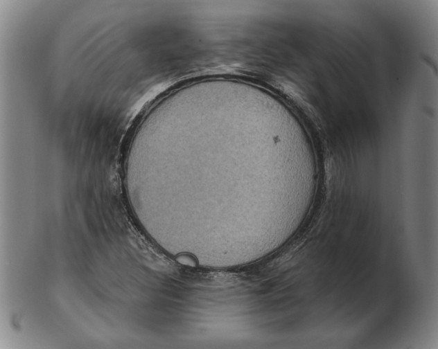 X0000102351308200808221644