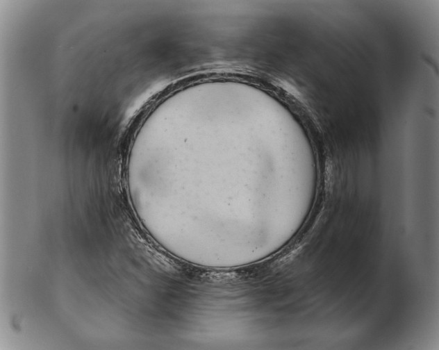 X0000102351310200808221645