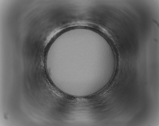 X0000102351312200808221645