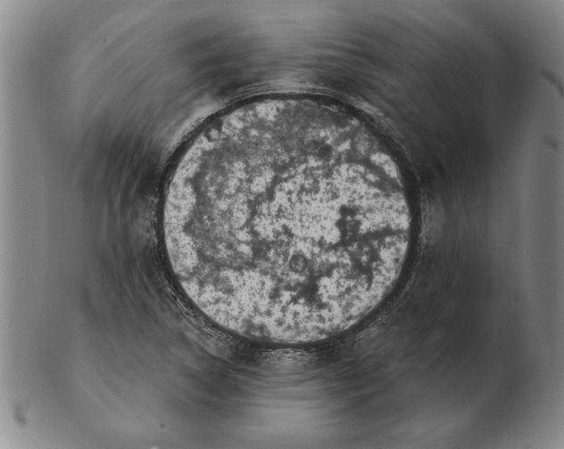 X0000102351314200808221645