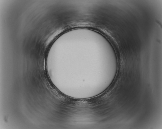 X0000102351317200808221645