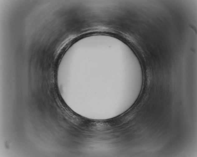 X0000102351318200808221645