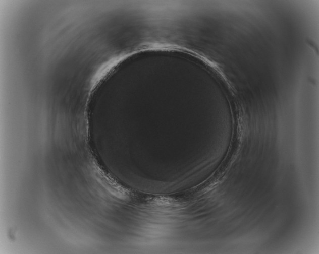 X0000102351319200808221645