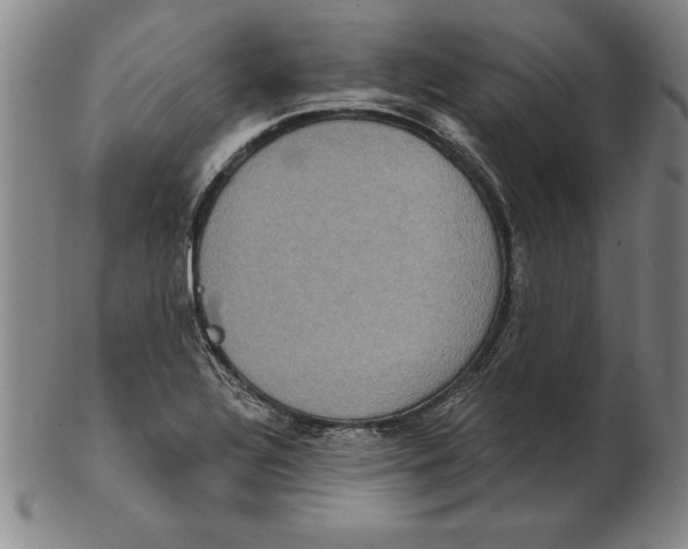 X0000102351320200808221645