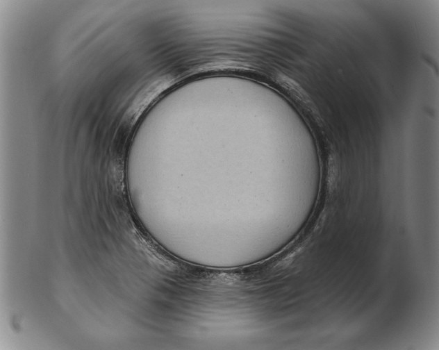 X0000102351321200808221645