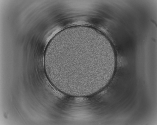 X0000102351322200808221645