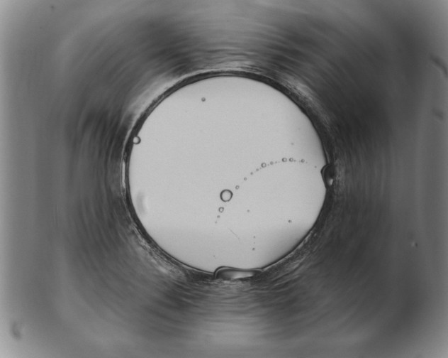 X0000102351324200808221645