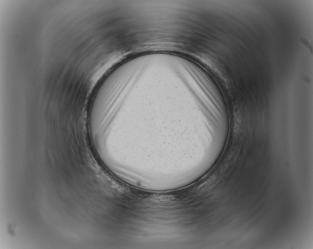 X0000102351325200808221645