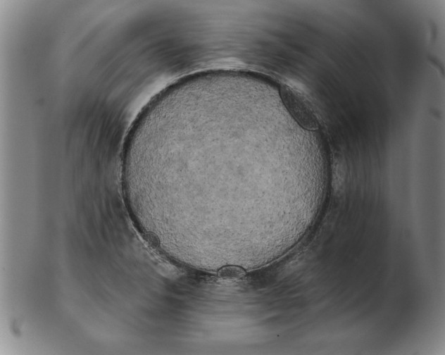 X0000102351326200808221645