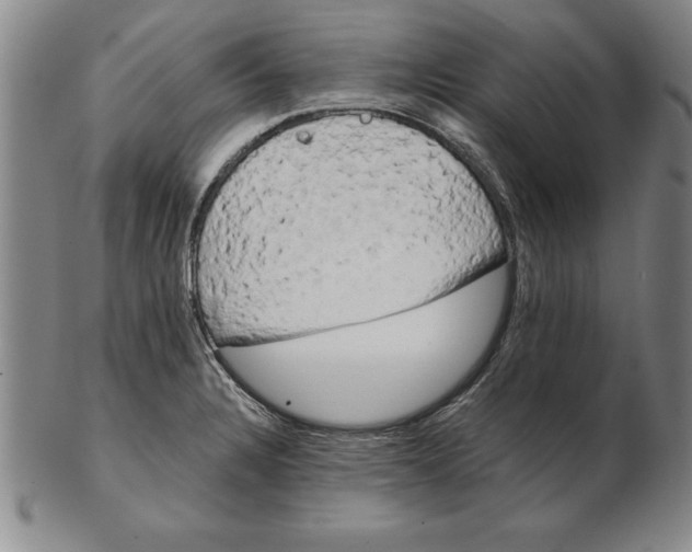 X0000102351328200808221645