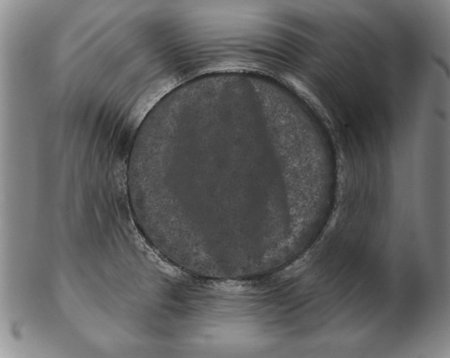 X0000102351329200808221645