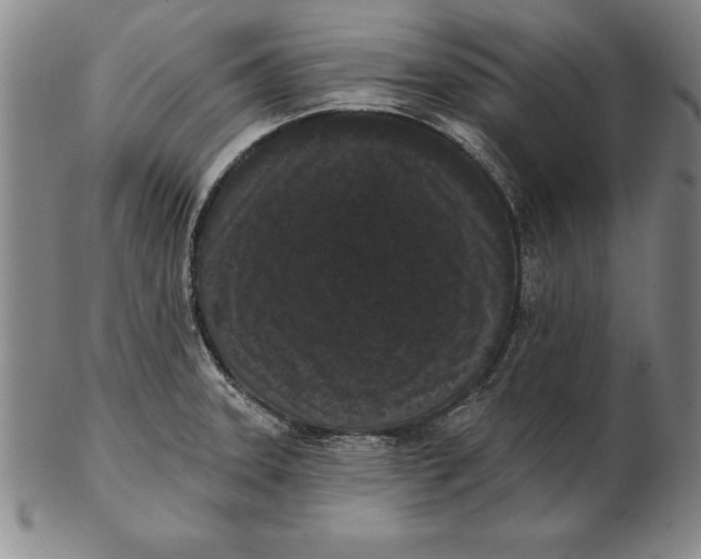 X0000102351331200808221645