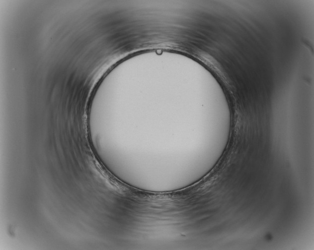 X0000102351332200808221645