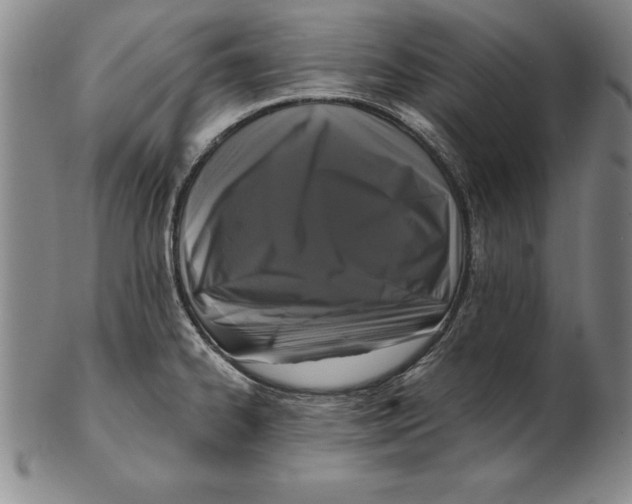 X0000102351334200808221645