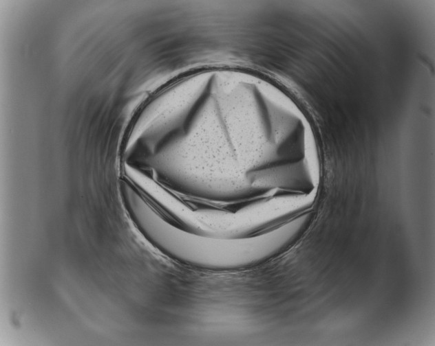 X0000102351335200808221645