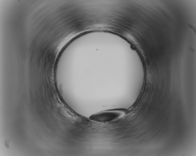 X0000102351336200808221645