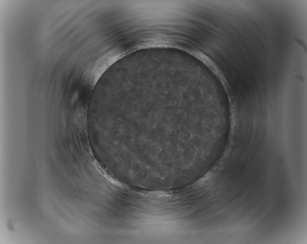 X0000102351337200808221645