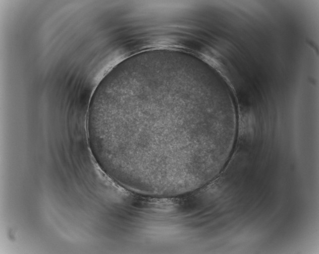 X0000102351338200808221645