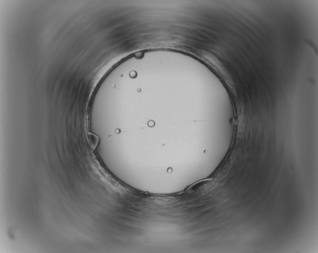 X0000102351340200808221645