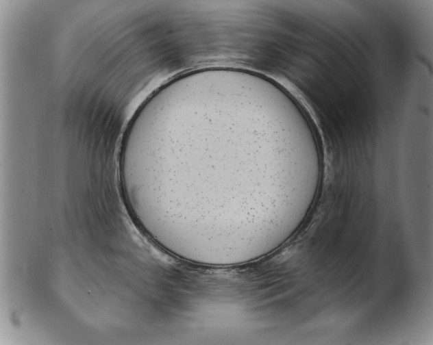 X0000102351341200808221645