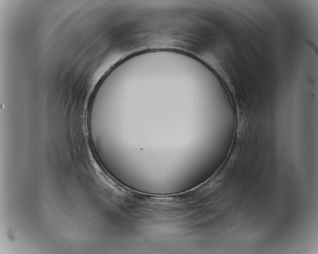 X0000102351342200808221645