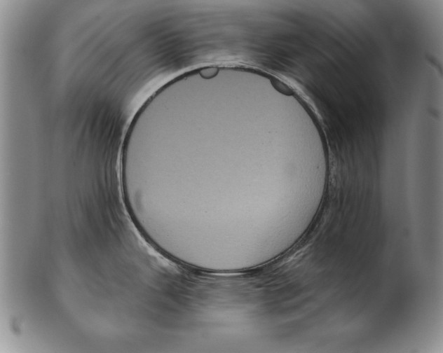 X0000102351343200808221645