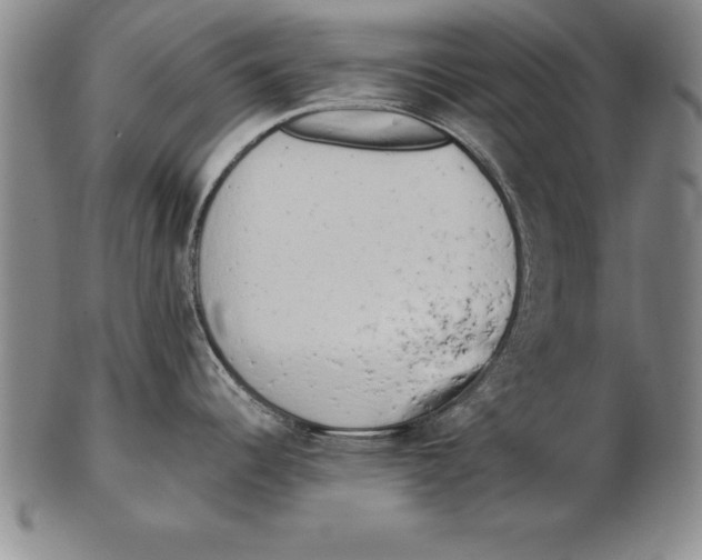 X0000102351344200808221645