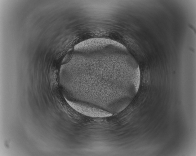 X0000102351346200808221644