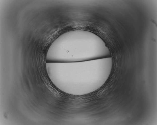 X0000102351348200808221644