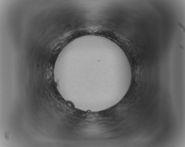 X0000102351349200808221644