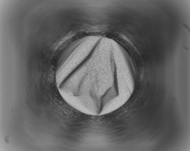 X0000102351350200808221644