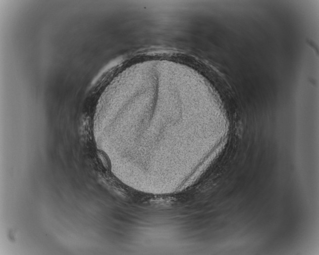 X0000102351351200808221644