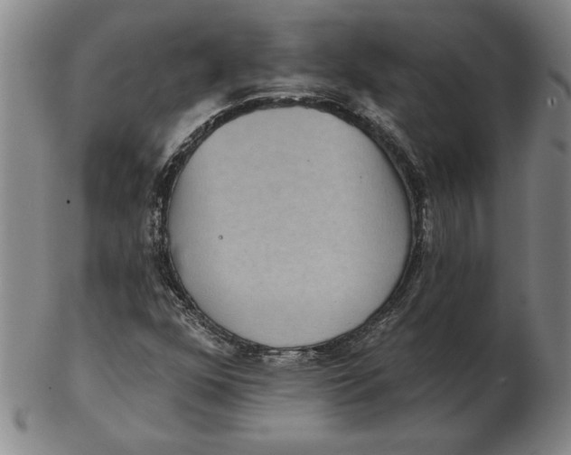 X0000102351352200808221644