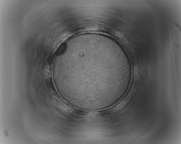 X0000102351353200808221644