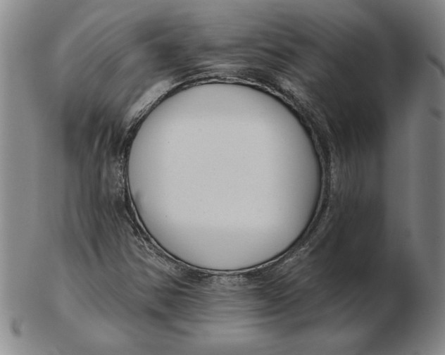 X0000102351354200808221644