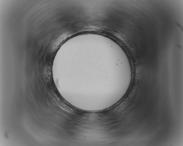 X0000102351355200808221644