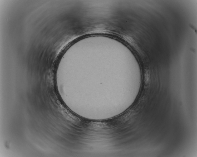 X0000102351356200808221644