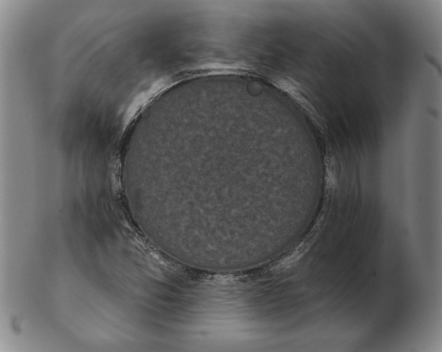 X0000102351357200808221644