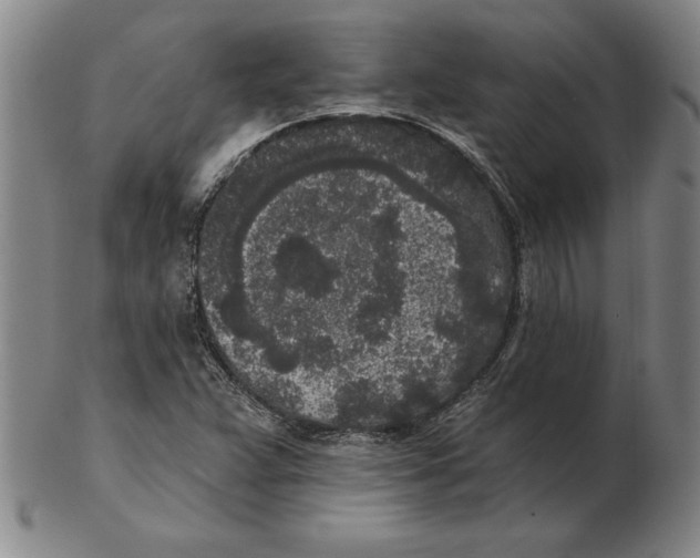 X0000102351359200808221644