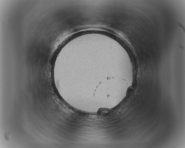 X0000102351360200808221644